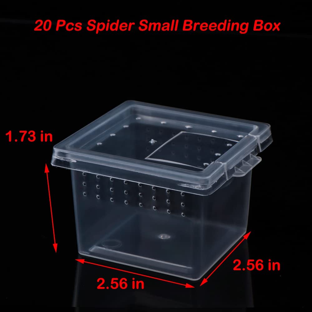 20 Pcs Spider Terrariums Breeding Box Hatching Container Acrylic Feeding Box ...