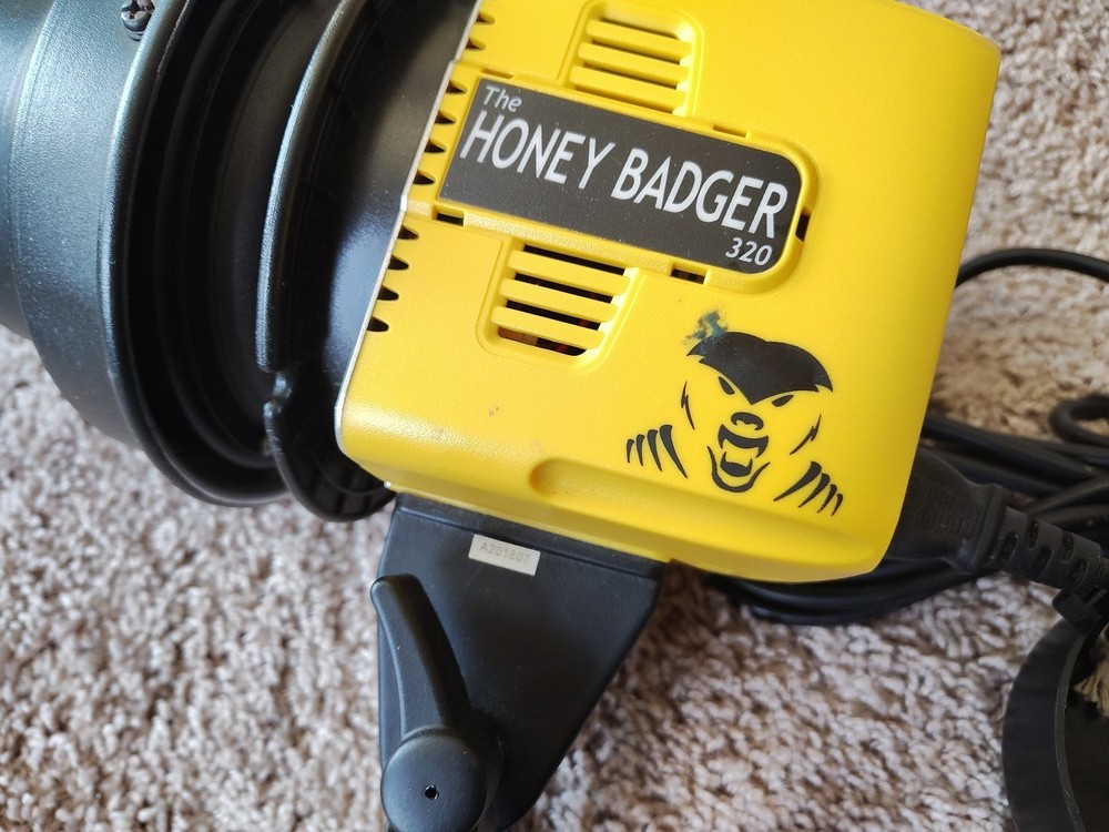 Interfit Honey Badger 320 Compact Flash Head