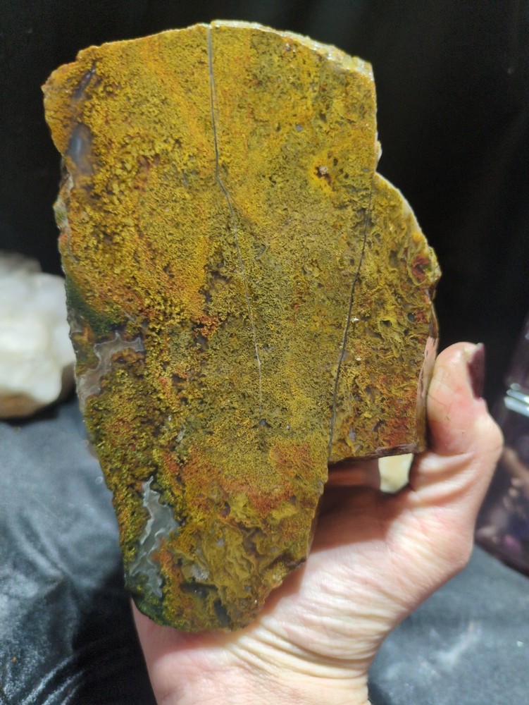 Murray Mountain Moss Agate Specimen Slabbed on both Sides (3lbs 13oz)