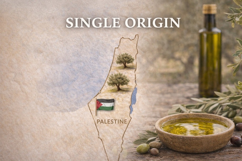 HolyLand Harvested Extra Virgin Olive Oil