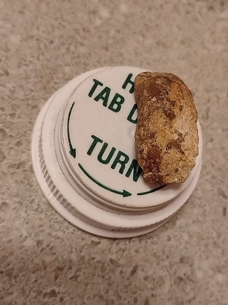 Native Gold Specimen
