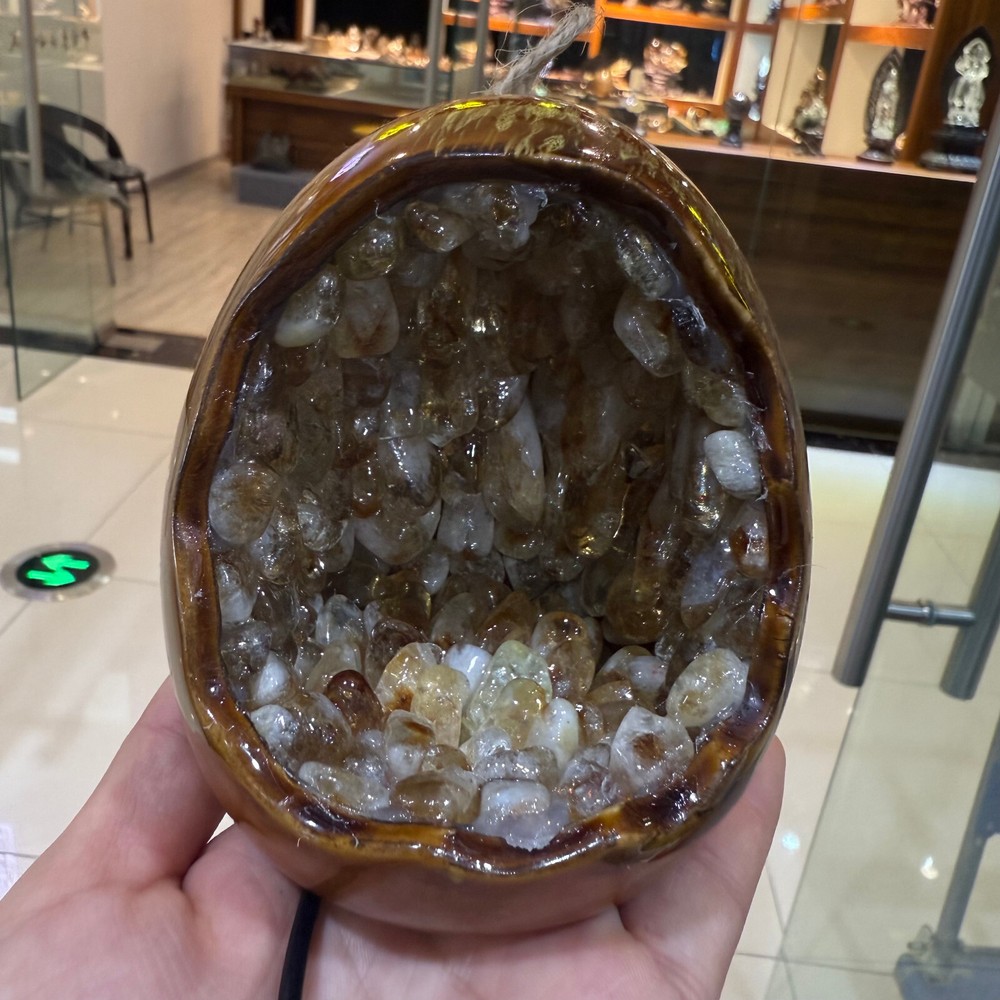 Natural citrine Dinosaur egg Reiki Crystal Skull Decor gift 1PC
