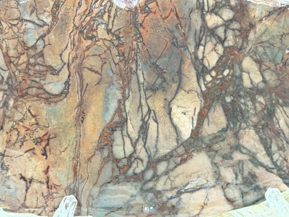 Dead Camel Jasper Slab, Lot#84