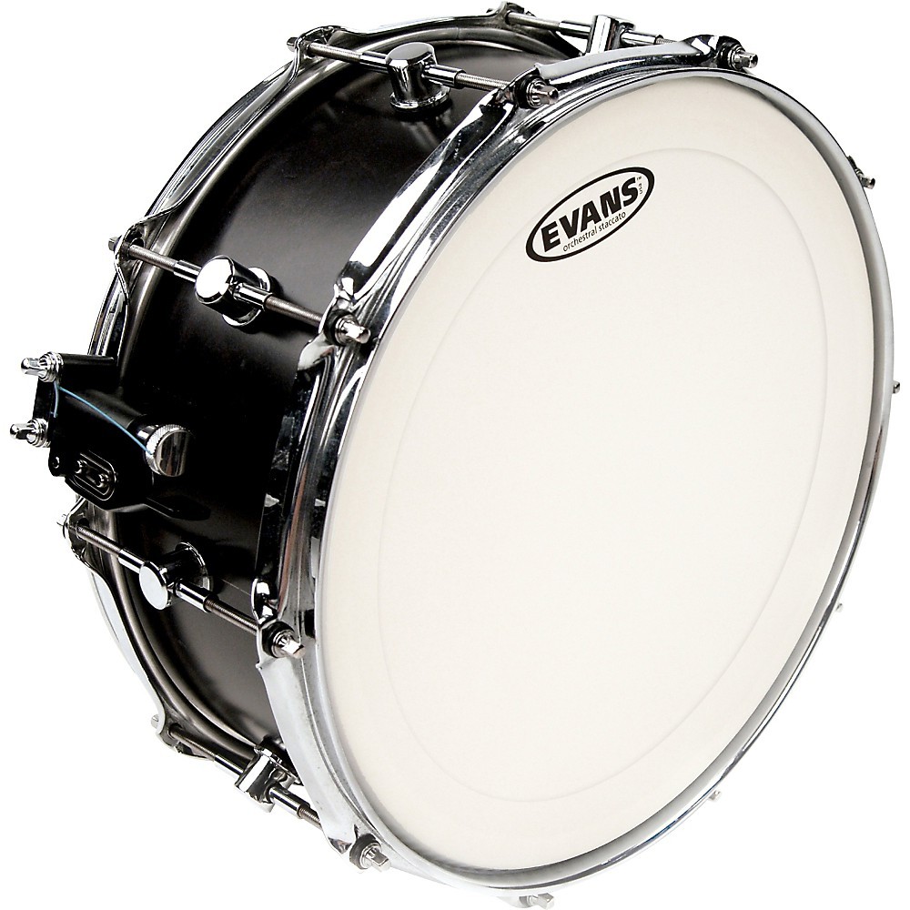Evans Genera Staccato Coated Head 14 in.