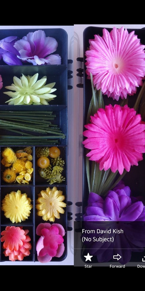 Silk Flower Parts Kit in Double-Sided Organizer Box