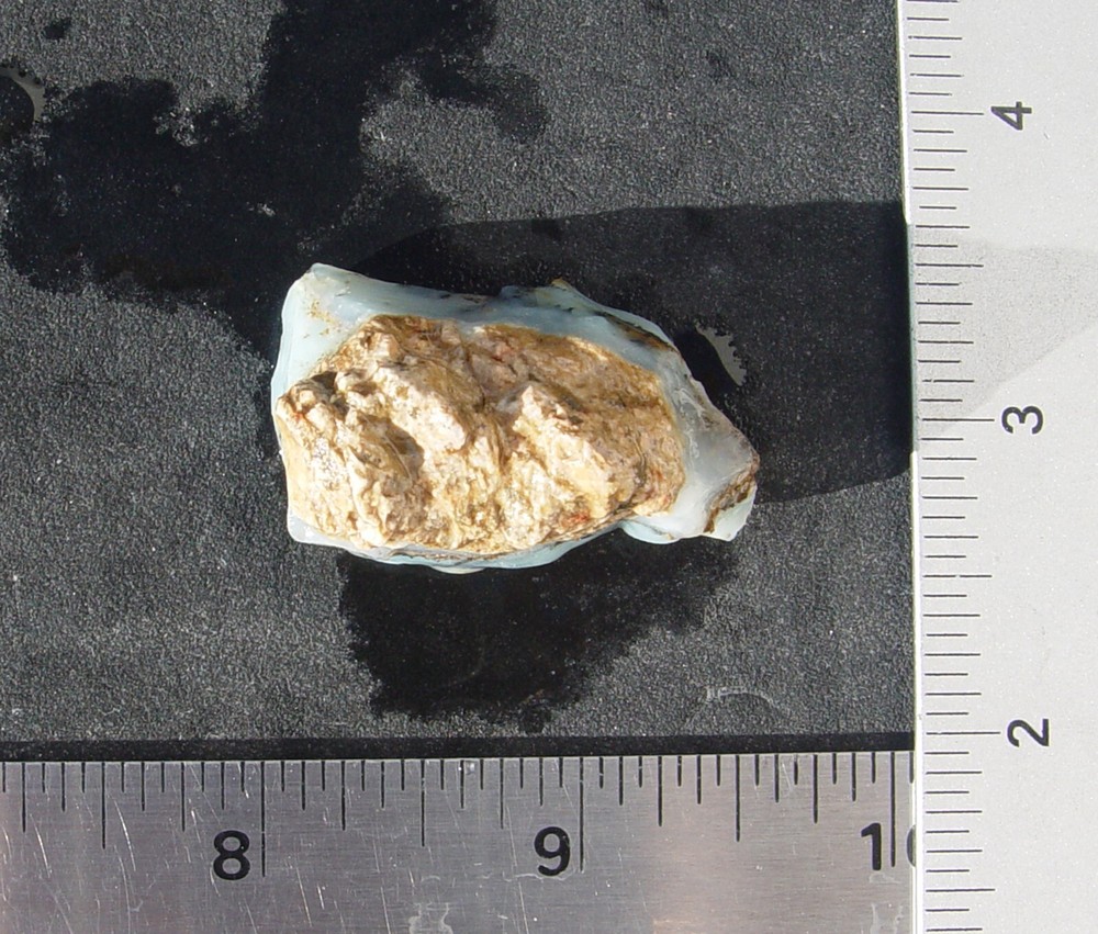 Andean Blue Dendritic Opal Rough T1184