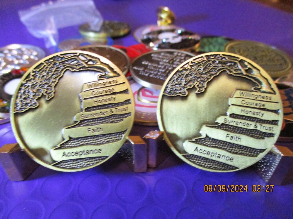 Coin Brass Chip All 12 Step Programs Medallion Surrender / Serenity