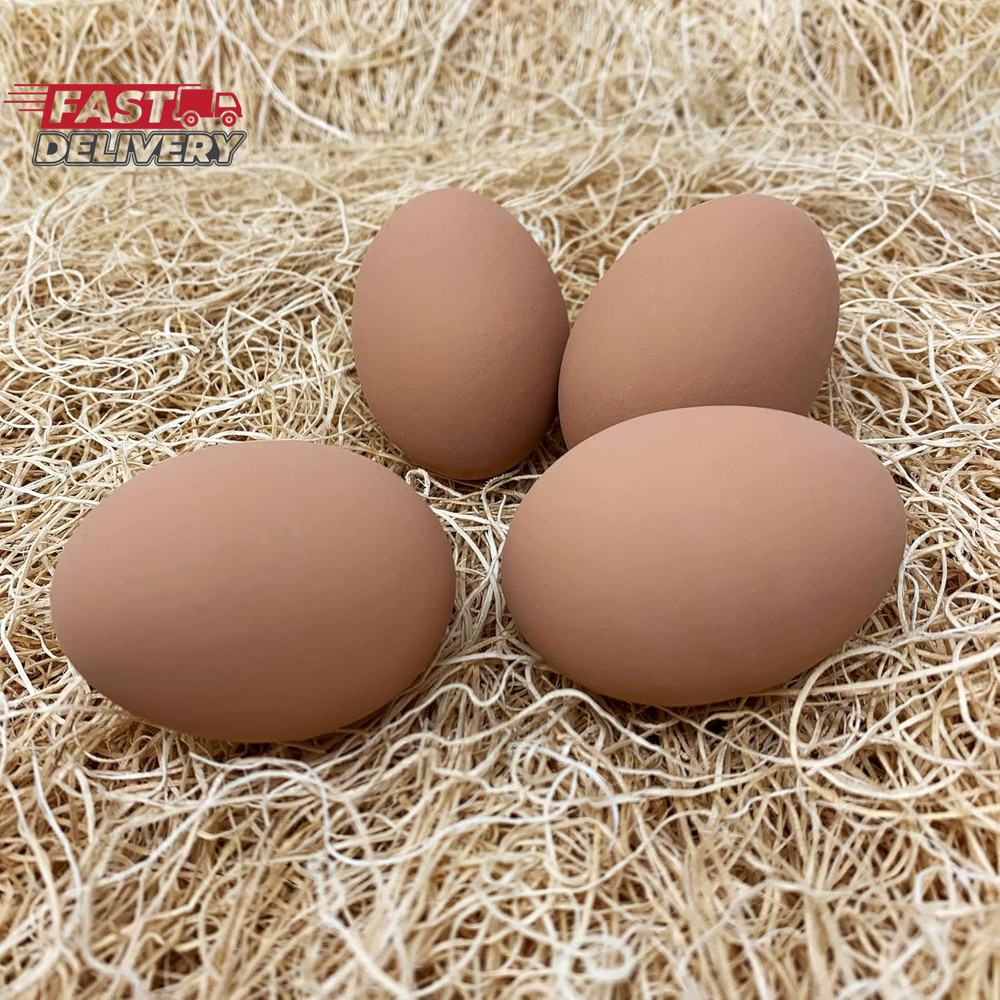 Pecking Order Ceramic Nest Eggs - Brown (4-Pack) (9647)