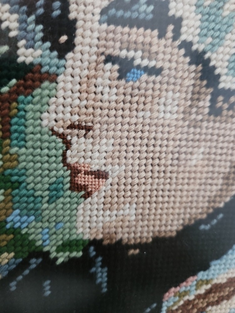 Jeanne Samary Petit Point Frame 16x20 1/2