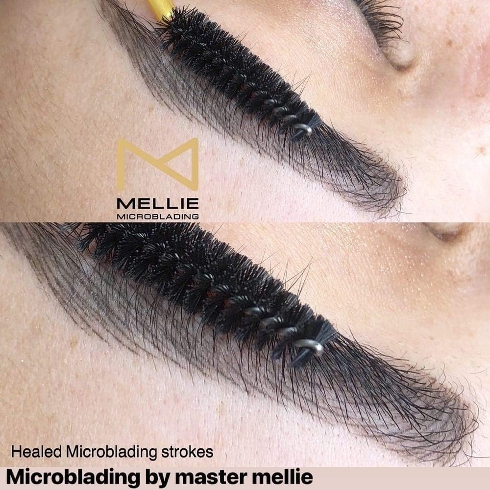 Medium Brown Pigment | No Mixing | Long Lasting