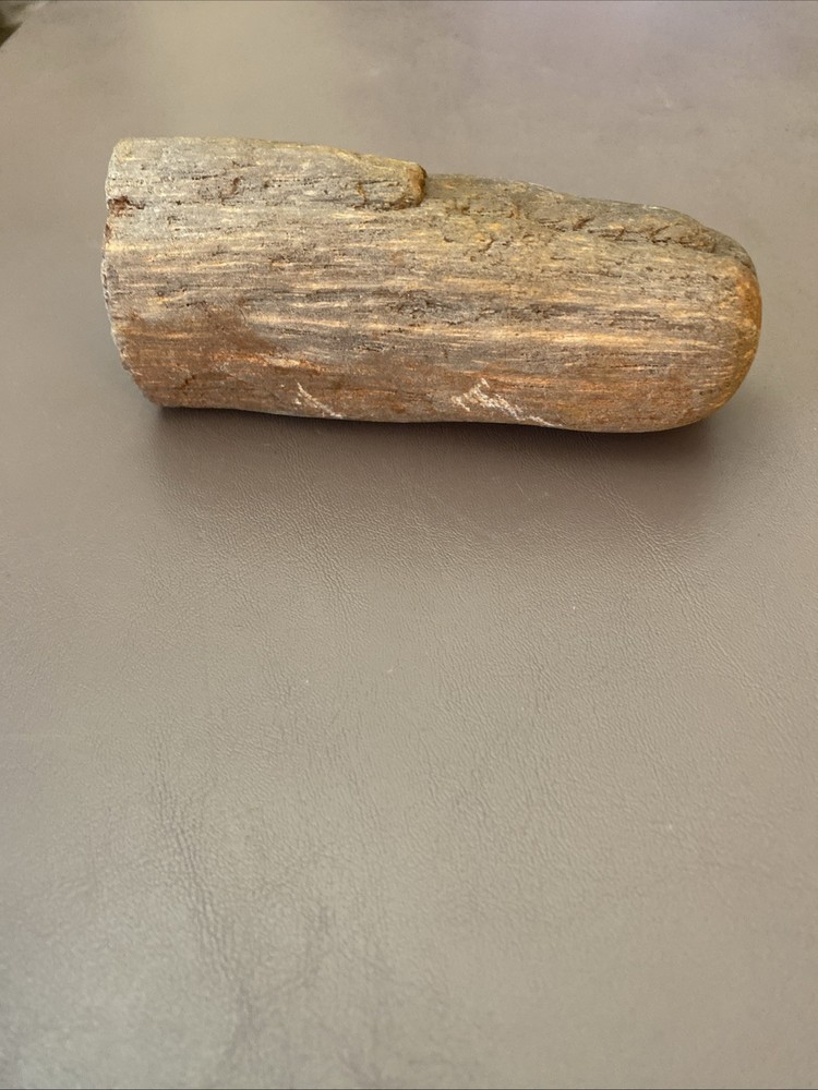 Petrified Wood