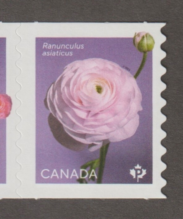 Canada 2023 Ranunculus - MNH se-tenant pair from coil