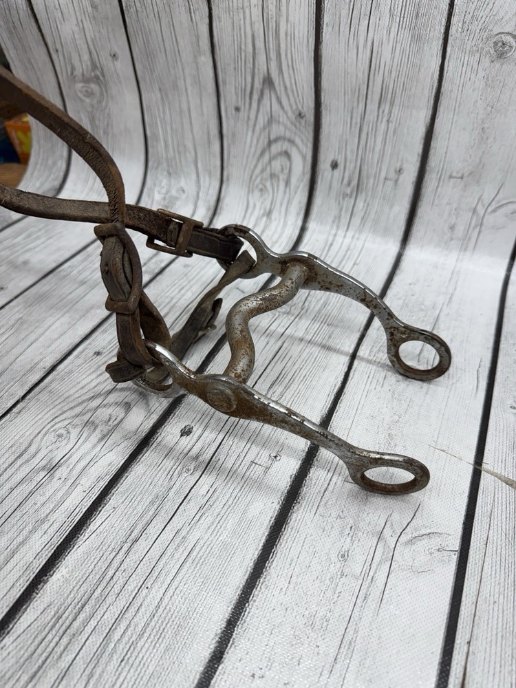 Vintage House Mouth Bit
