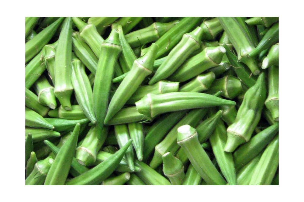 Okra Seeds- Clemson Spineless- 100+ Seeds