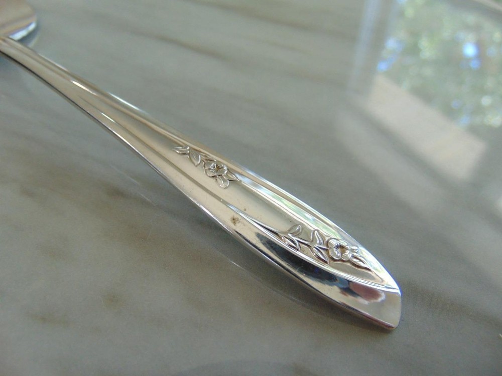 Wm Rogers LADY FAIR Pie/Cake Server Silverplate 1957