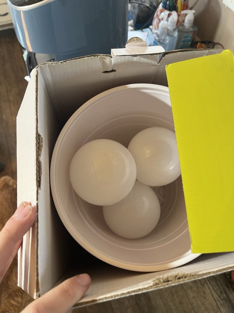 giant beer pong set