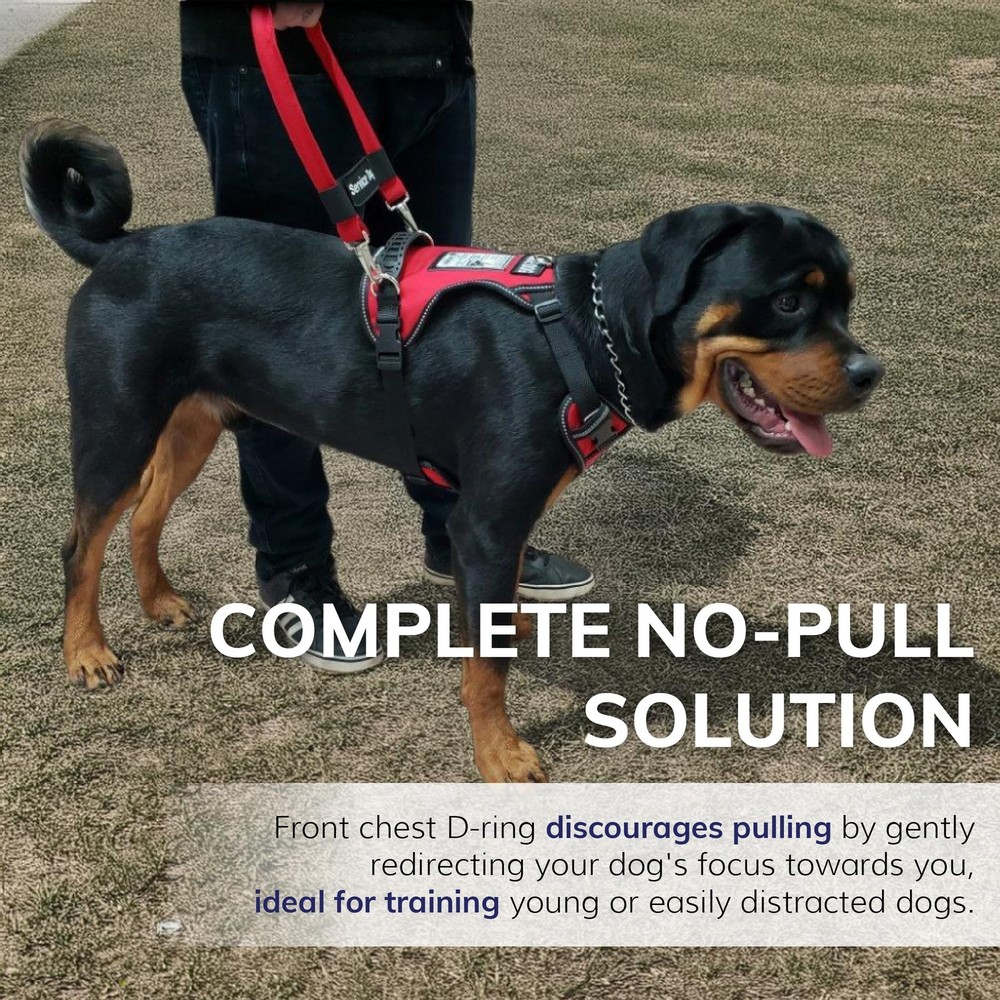 ActiveDogs Service Dog Vest No Pull Harness - Adjustable No Choke Service Dog...