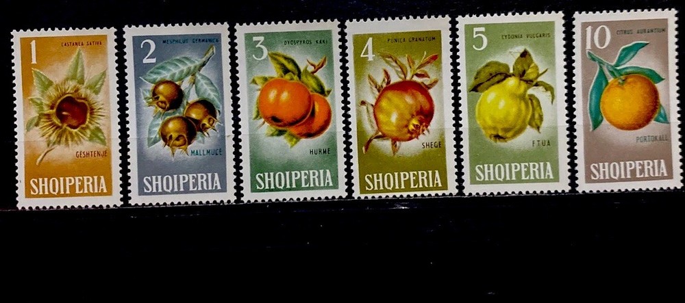 Albania 1965. SC# 787-792. MNH