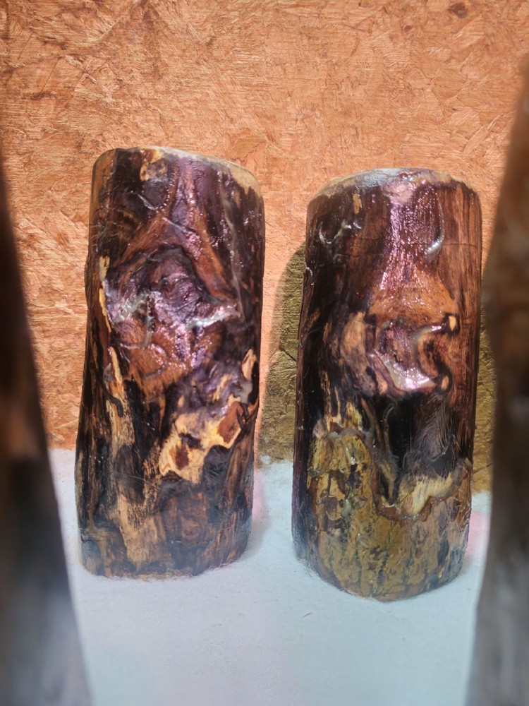 White Ash Trunk Eye Scars