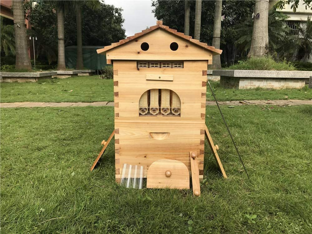 Cedar Wood Auto Bee hive Brood Box 7X Auto Honey Comb Beehive Frames Beekeeping