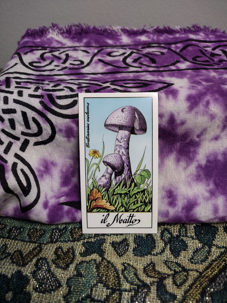 Fungus Tarot by Meneghello 1987