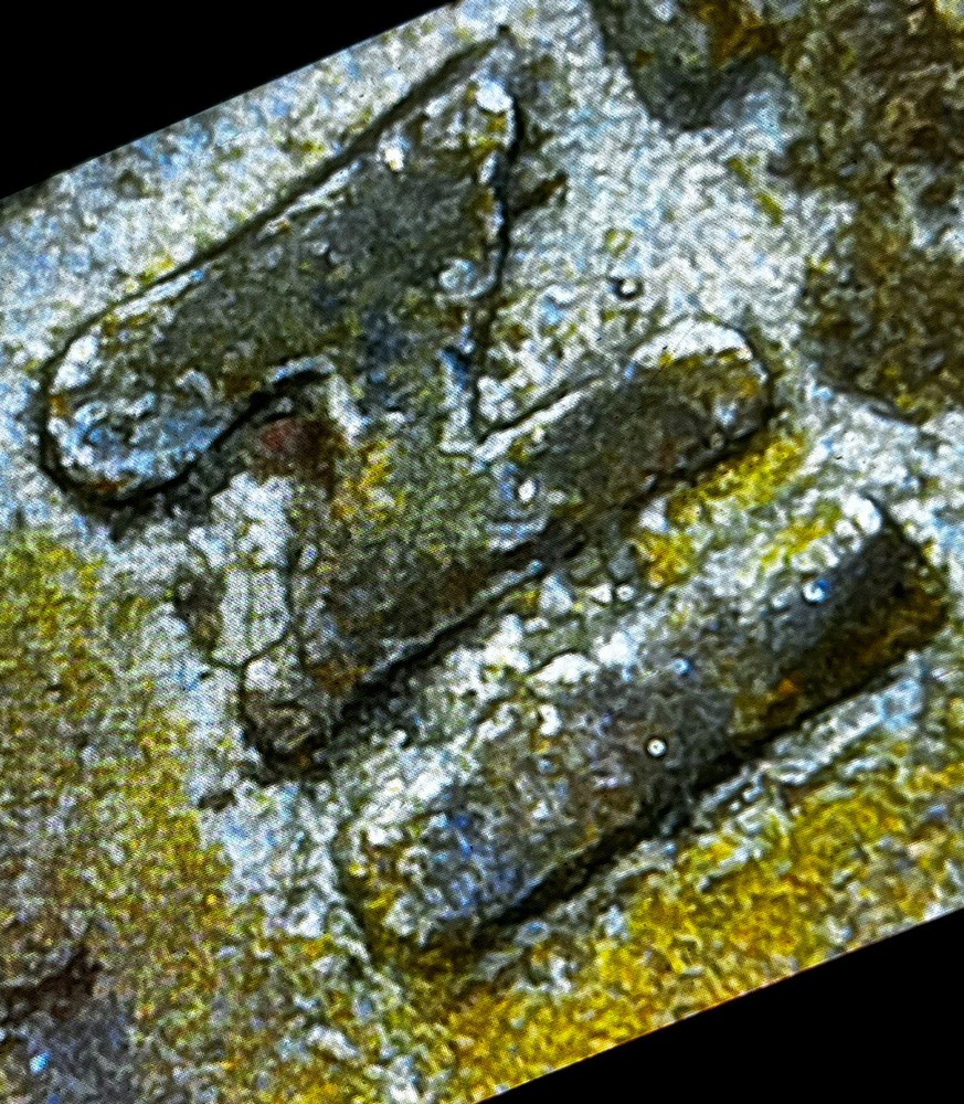 1979 Quarter Filled D Error, Stunning