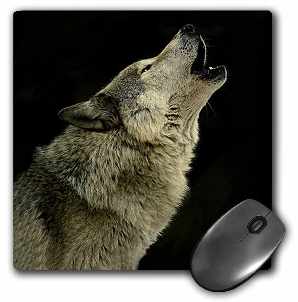 3dRose Timber Wolf MousePad