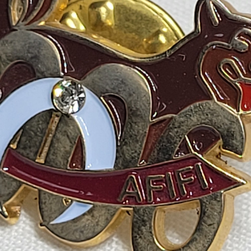 AFIFI Shriners 2006 Masonic Lapel Pin
