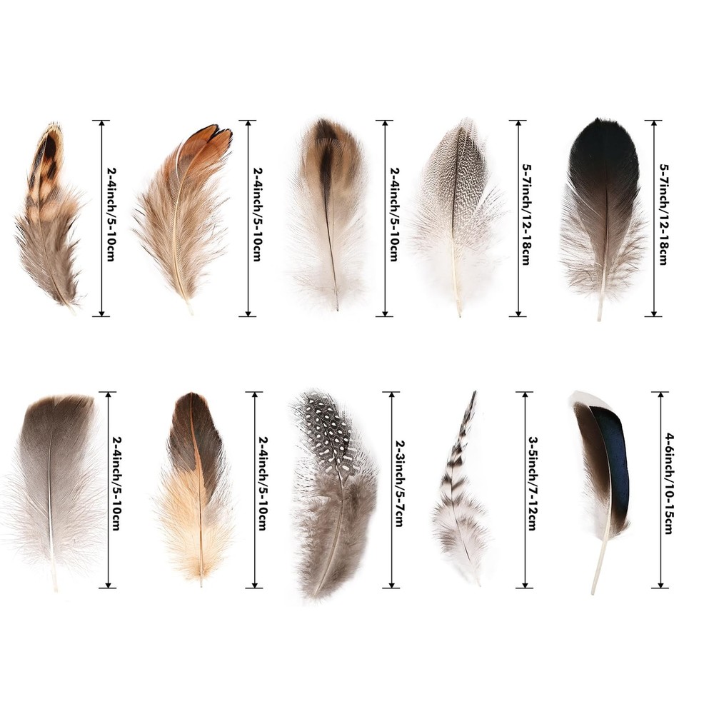 300 pcs Small Feathers - 10 Style Mixed Spotted Decorative Natual Pheasant Fe...