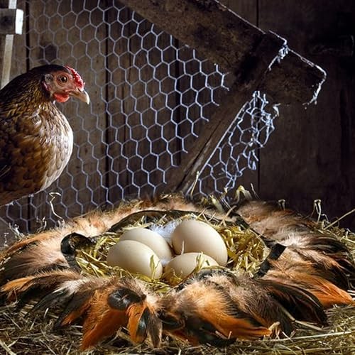 Feathers for Chick Brooder Heating Plate Comfort Feathers for 10" x 10", 4 Pack