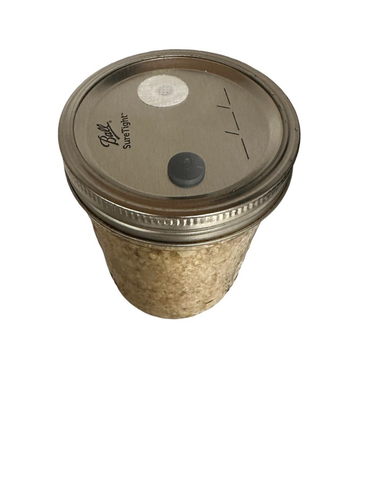Sterilized MILLET Jars For Mushroom Inoculation Eight(8) Count