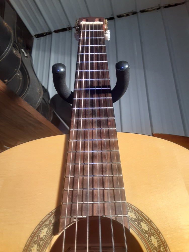Hohner HC620 Classical Guitar Solid Top 2-Way Truss Rod