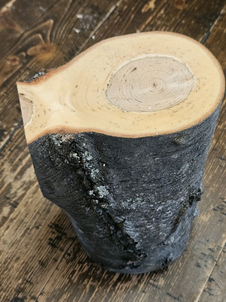 CHERRY  Turning Crotch Log 9" Long c291