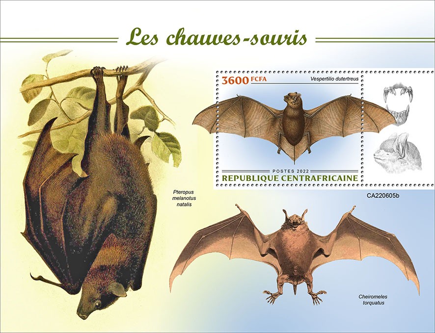 Bats