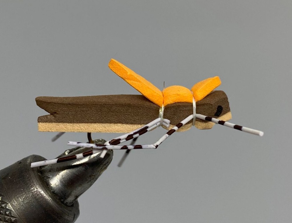 One Dozen (12) - Morrish Hopper - Tan - Terrestrial