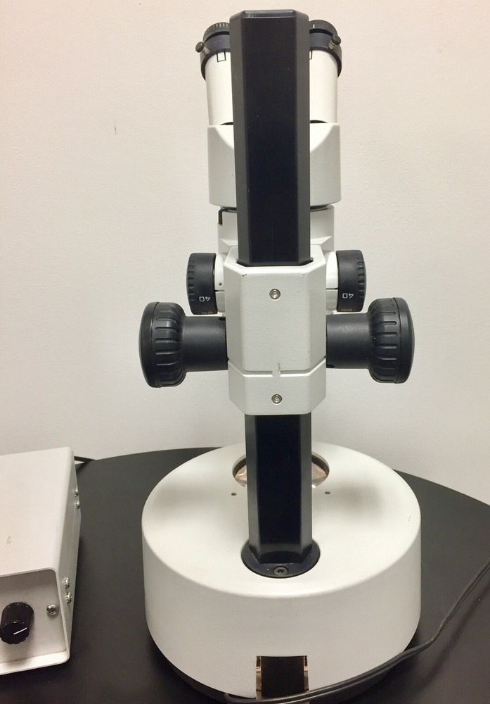 Heerbrugg WILD M3Z Stereo Zoom Microscope w/ Light Source