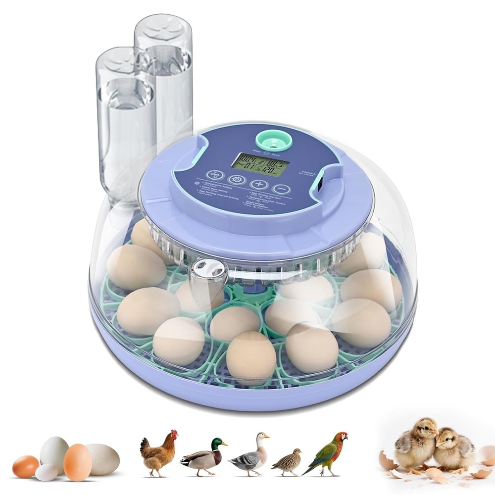 18 Egg Incubator for Hatching Chicks, Automatic Egg Turner Holds 18 Eggs, Sma...