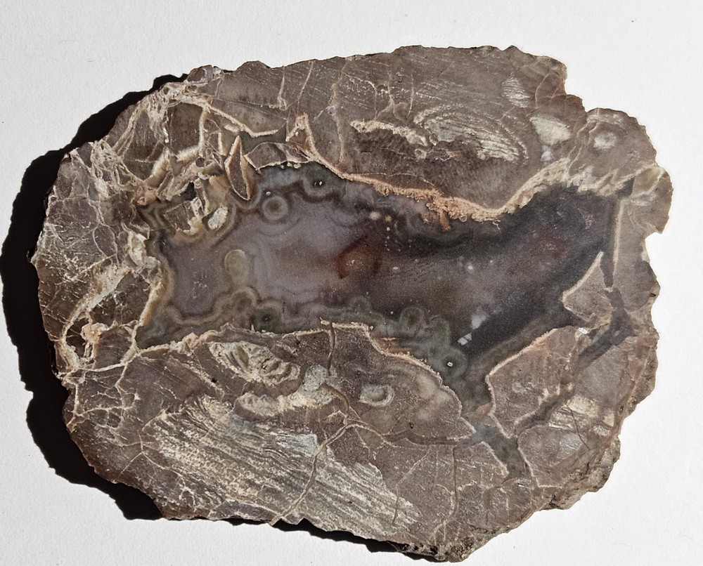 Agate Lapidary Slab 30 Grams Baker Area