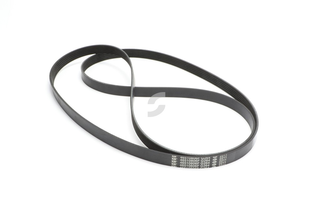 FE-291236 BELT  Ferrari NEW