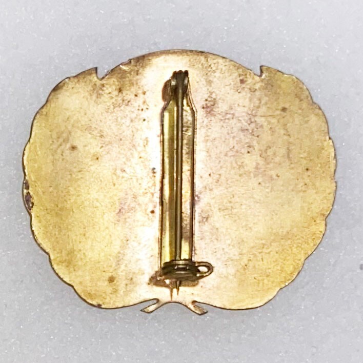 United Nations Beret Badge