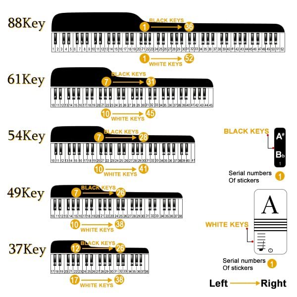 Piano Stickers Keyboard Key Note: Removable Piano Keyboard Note Black White