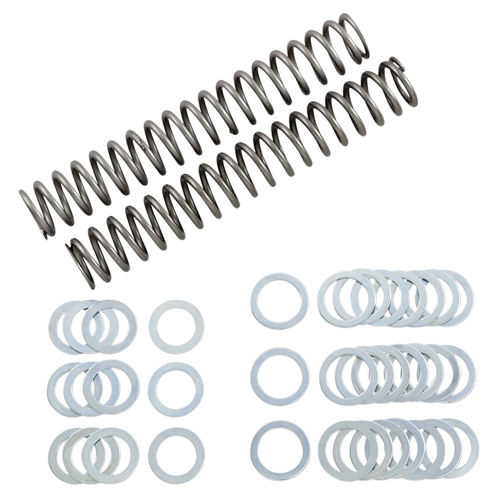 Race Tech Fork Springs - 1.1 kg/mm - FRSP S3825110