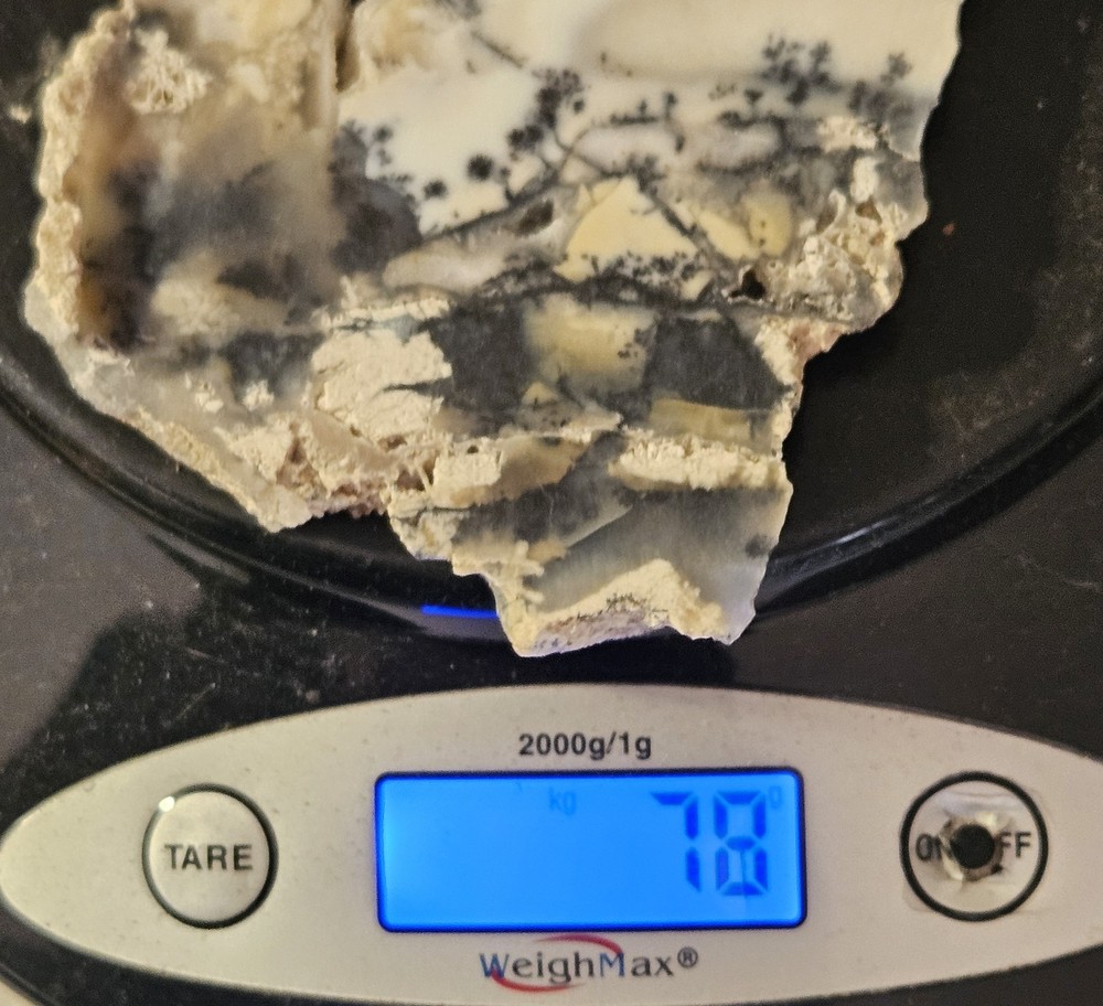 Dendritic Agate Lapidary Slab 78 Grams