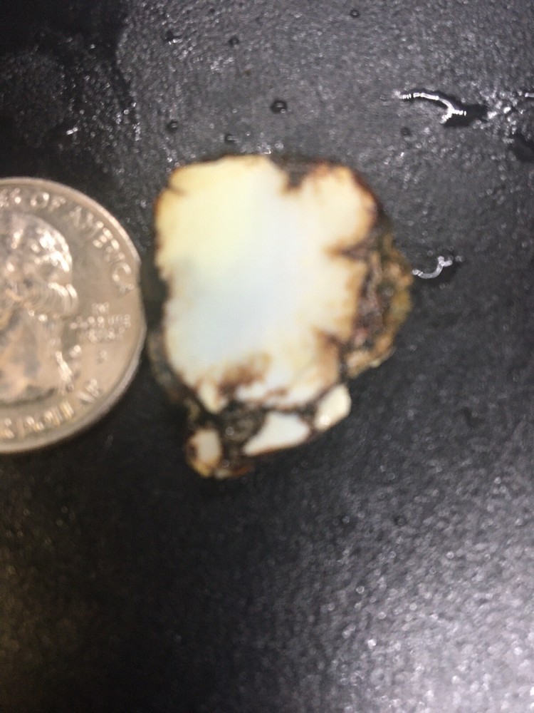 Nevada Aloe Variscite Slab