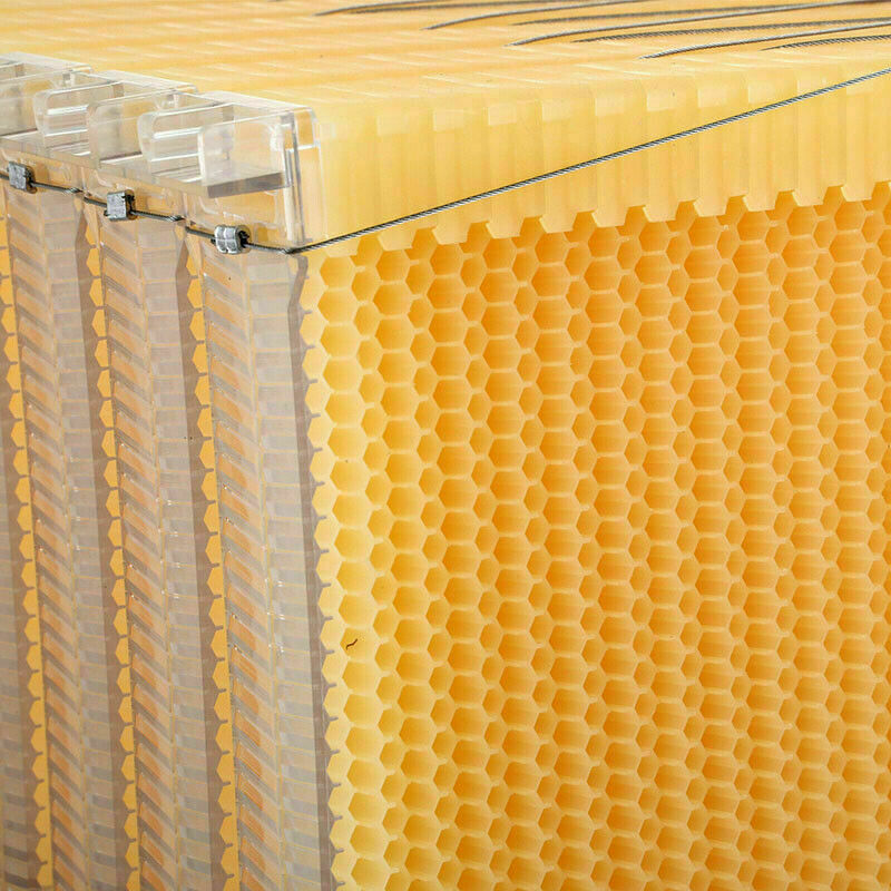 Improved 7pcs Auto Beehives Frames Beekeeping Frames Bee Frames Beehive Frames
