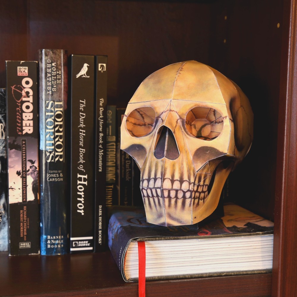 Human Skull paper model