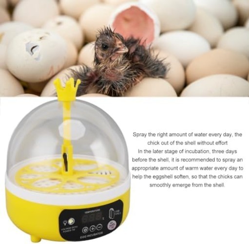 Mini Egg Incubator, Temperature Control Digital Incubators, 4 Eggs Candler Po...