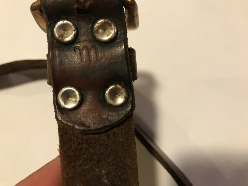 Shell Belt 33-37" 1.25" Wide