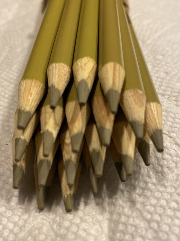 (20) Crayola Colored Pencils (bronze yellow) BULK