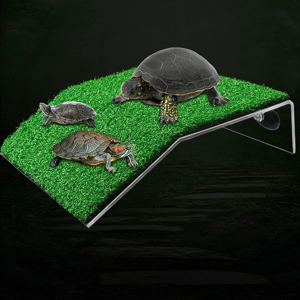 Lawn Turtle Basking Platform Turtle Resting Basking Platform, Simulation4358